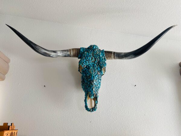 Genuine Texas Long Horn Skull Adorned with Natural Persian Turquoise Western Decor/